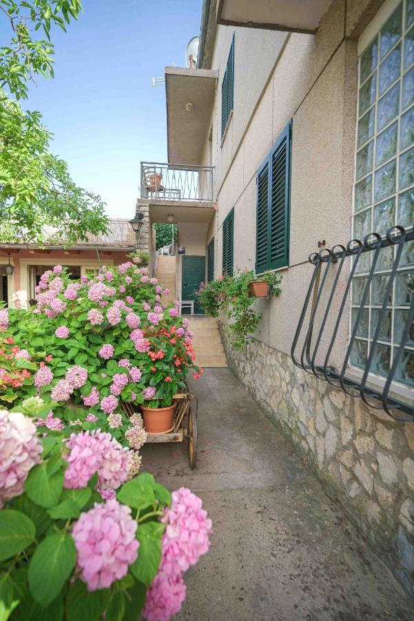 Apartments Micin Vodice Bagian luar foto